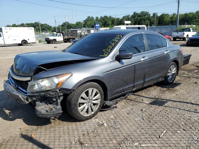 HONDA ACCORD EXL 2011 1hgcp3f83ba029837