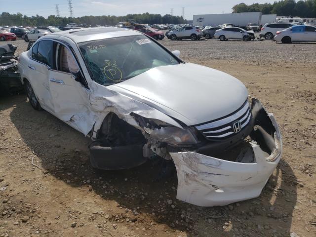 HONDA ACCORD EXL 2011 1hgcp3f83ba030132