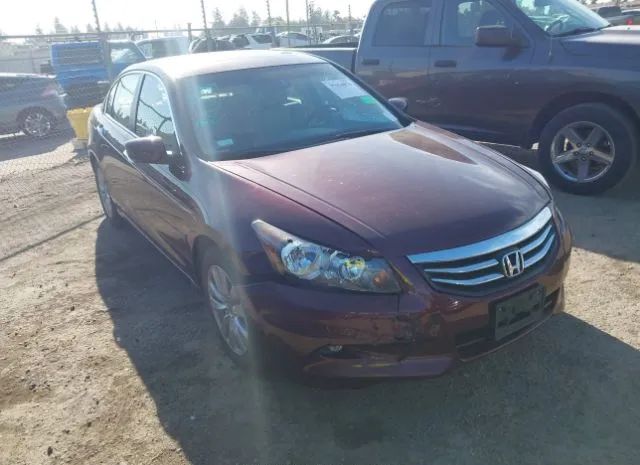 HONDA ACCORD 2011 1hgcp3f83ba031474