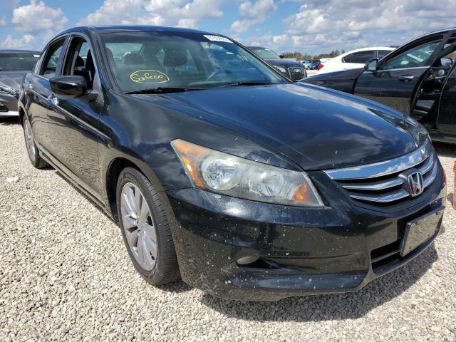 HONDA ACCORD EXL 2011 1hgcp3f83ba032866