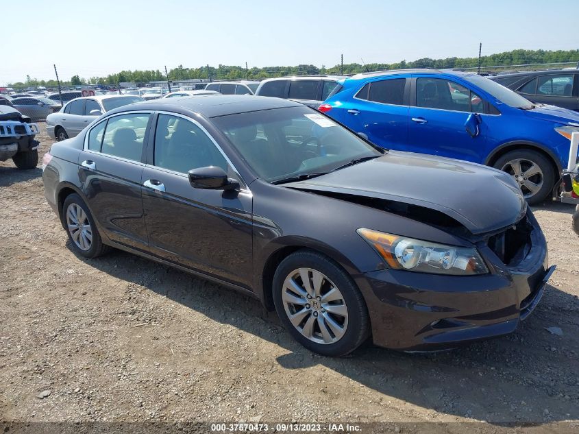 HONDA ACCORD 2011 1hgcp3f83ba032916