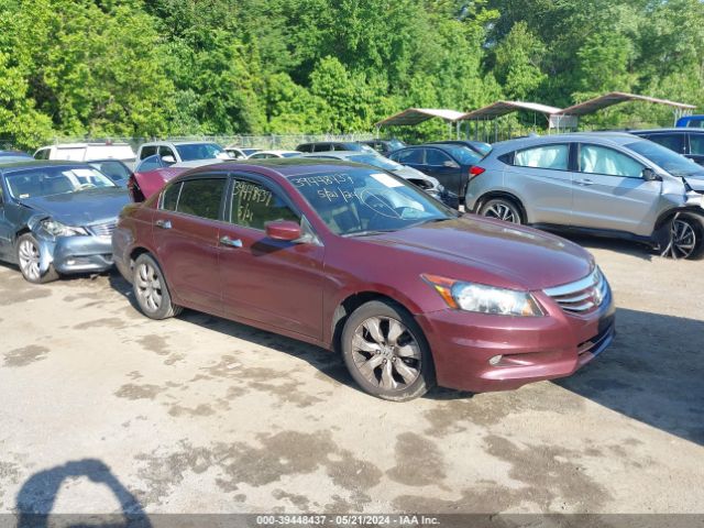 HONDA ACCORD 2012 1hgcp3f83ca041875