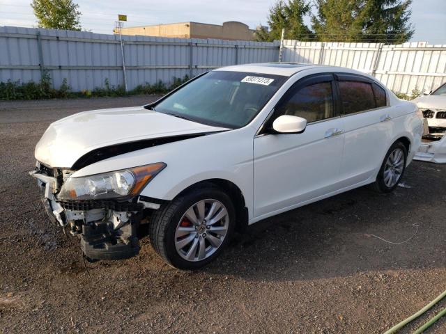 HONDA ACCORD 2012 1hgcp3f83ca800556