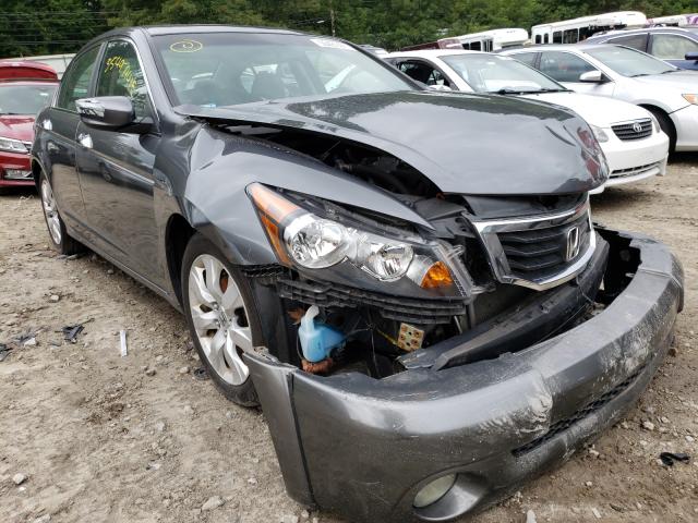 HONDA ACCORD EXL 2010 1hgcp3f84aa005755