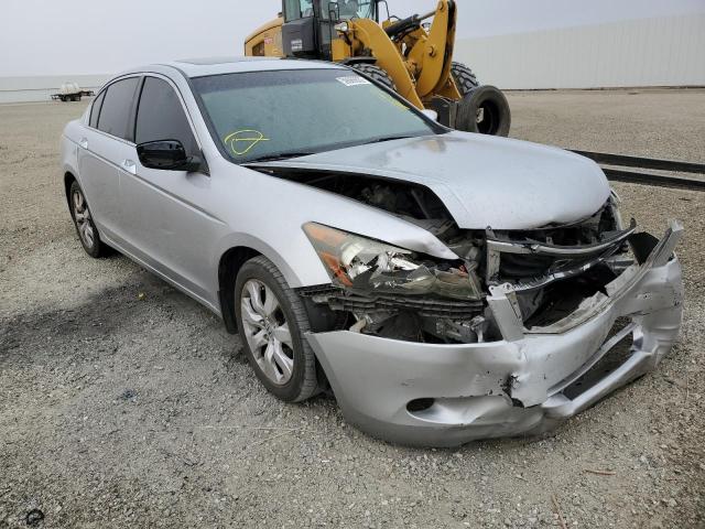 HONDA ACCORD EXL 2010 1hgcp3f84aa005819