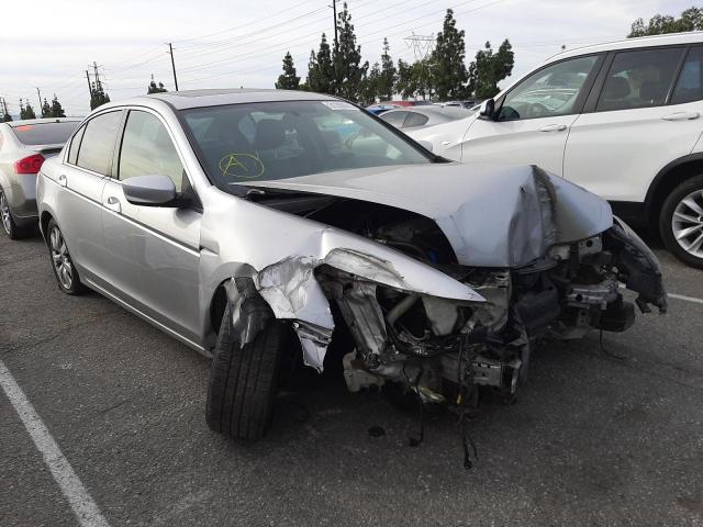 HONDA ACCORD EXL 2010 1hgcp3f84aa006386