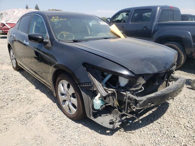 HONDA ACCORD EXL 2010 1hgcp3f84aa008073