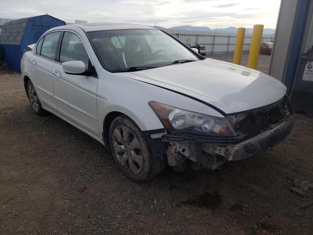 HONDA ACCORD EXL 2010 1hgcp3f84aa008588