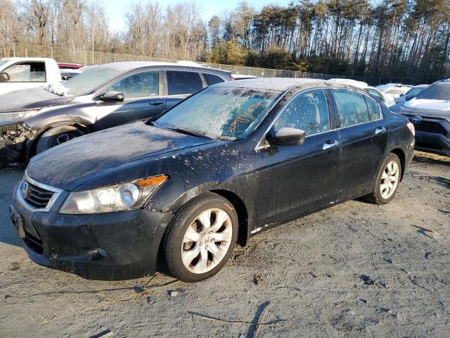 HONDA ACCORD 2010 1hgcp3f84aa009644