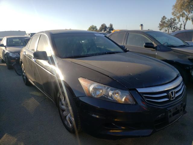 HONDA ACCORD EXL 2010 1hgcp3f84aa016013