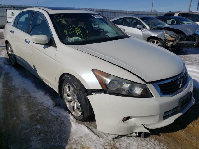 HONDA ACCORD EXL 2010 1hgcp3f84aa017212