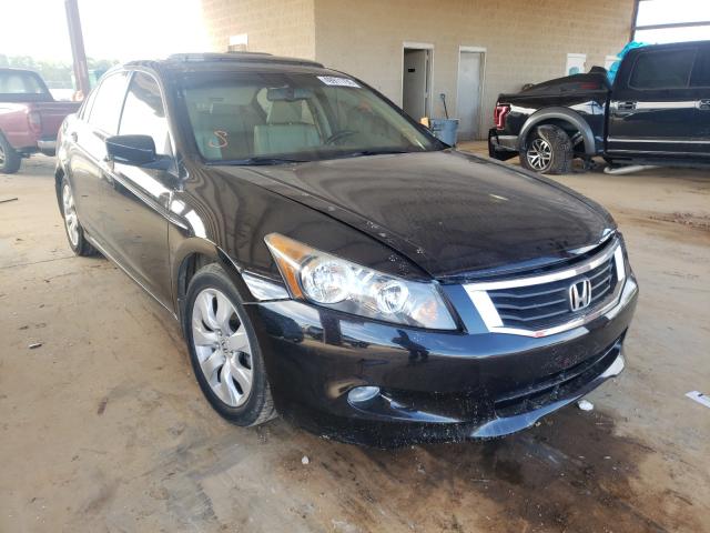 HONDA ACCORD EXL 2010 1hgcp3f84aa025942