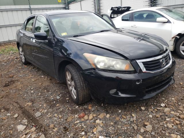 HONDA ACCORD EXL 2010 1hgcp3f84aa026489