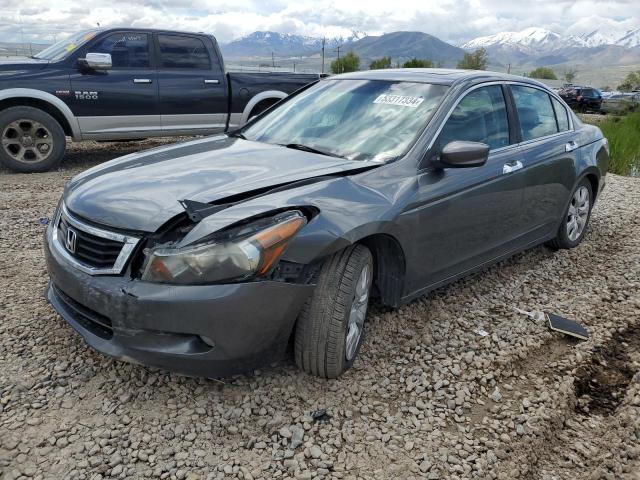 HONDA ACCORD 2010 1hgcp3f84aa028842