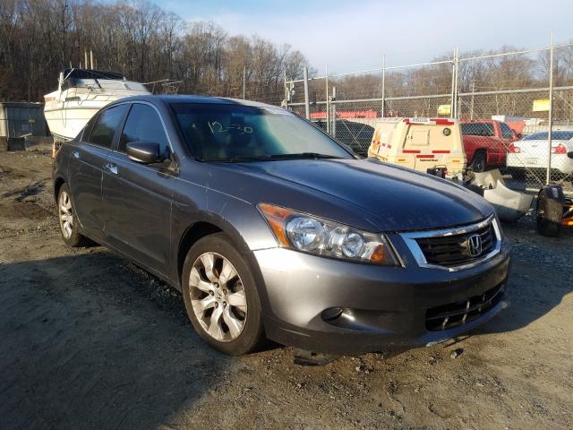 HONDA ACCORD EXL 2010 1hgcp3f84aa030333