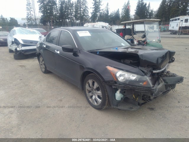 HONDA ACCORD SDN 2010 1hgcp3f84aa030994