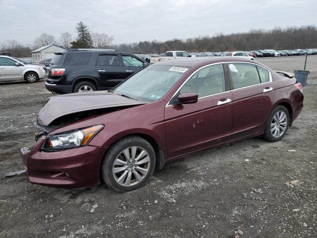 HONDA ACCORD EXL 2011 1hgcp3f84ba000928