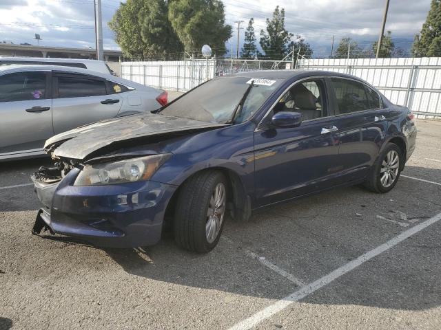 HONDA ACCORD 2011 1hgcp3f84ba001013