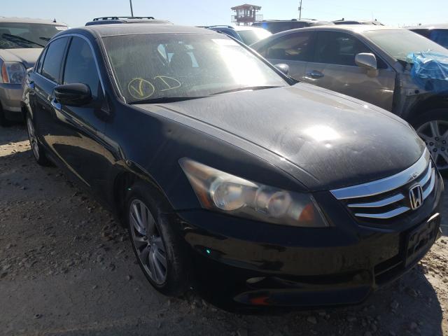 HONDA ACCORD EXL 2011 1hgcp3f84ba001433