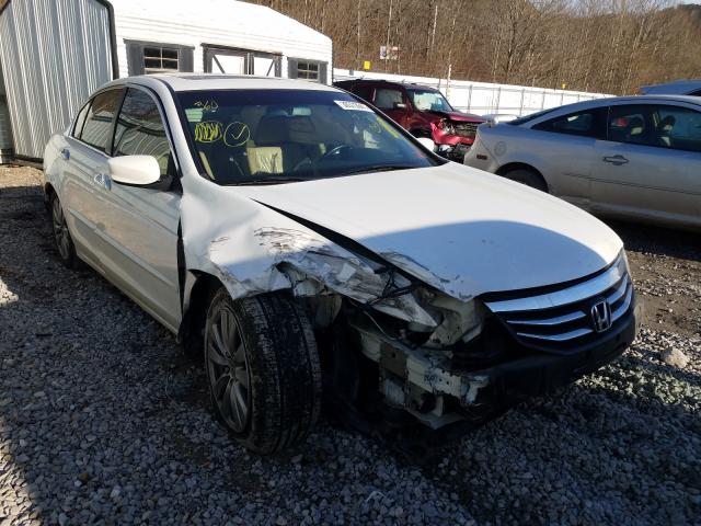 HONDA ACCORD EXL 2011 1hgcp3f84ba003599