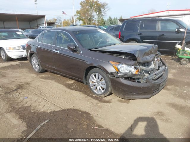 HONDA ACCORD SDN 2011 1hgcp3f84ba004185