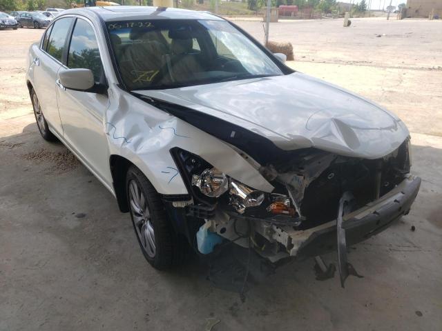 HONDA ACCORD EXL 2011 1hgcp3f84ba004509