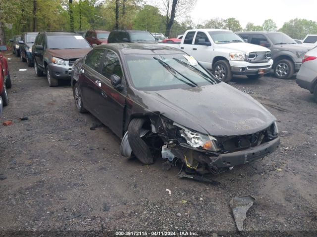 HONDA ACCORD 2011 1hgcp3f84ba005174