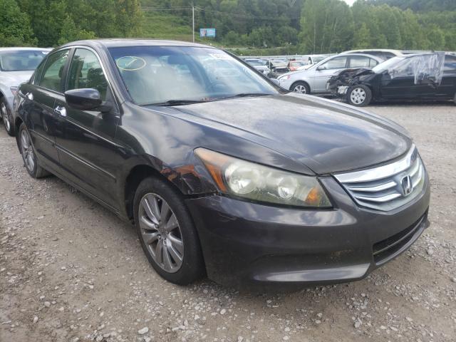 HONDA ACCORD EXL 2011 1hgcp3f84ba005238