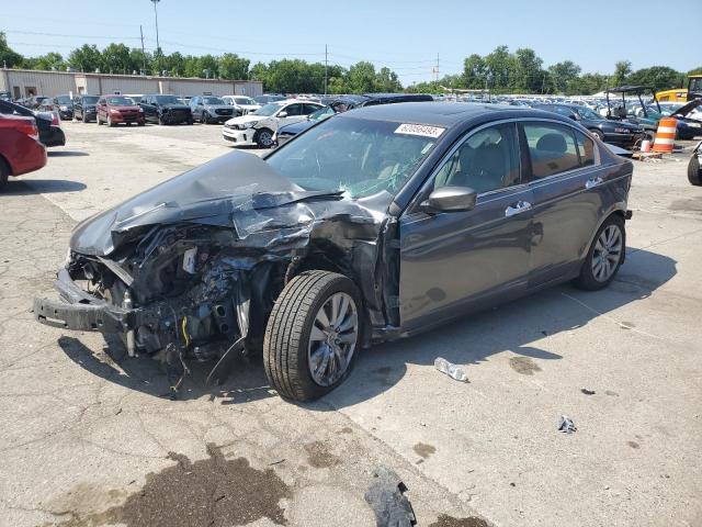 HONDA ACCORD 2011 1hgcp3f84ba005501