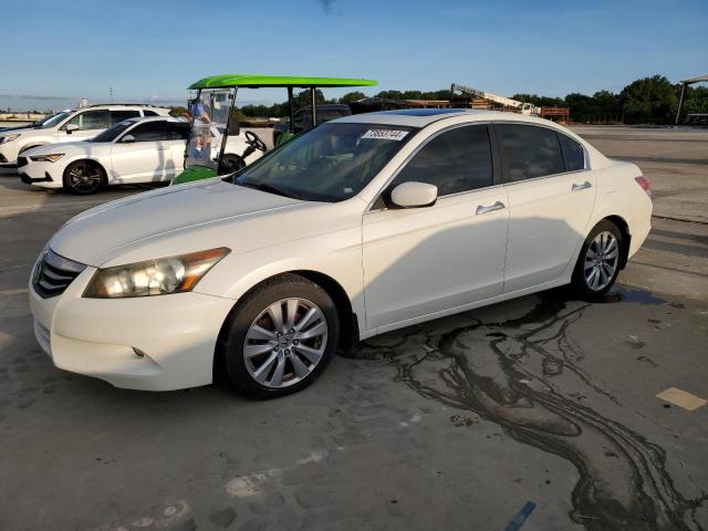 HONDA ACCORD EXL 2011 1hgcp3f84ba006633