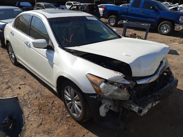 HONDA ACCORD EXL 2011 1hgcp3f84ba007779