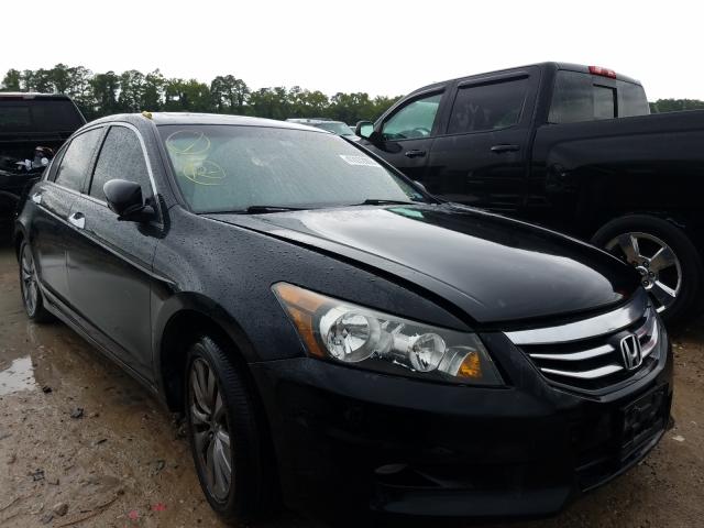 HONDA ACCORD EXL 2011 1hgcp3f84ba008172