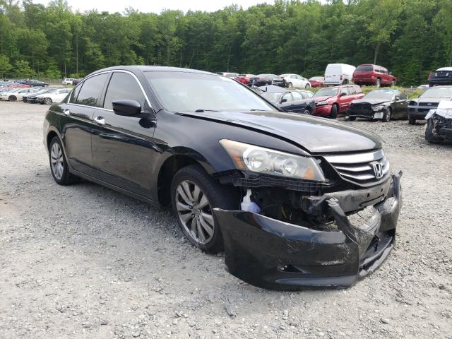 HONDA ACCORD EXL 2011 1hgcp3f84ba008219