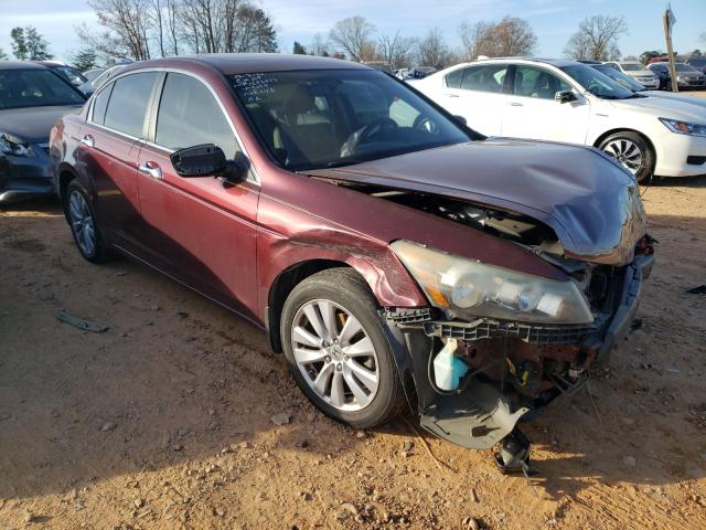 HONDA ACCORD EXL 2011 1hgcp3f84ba009094