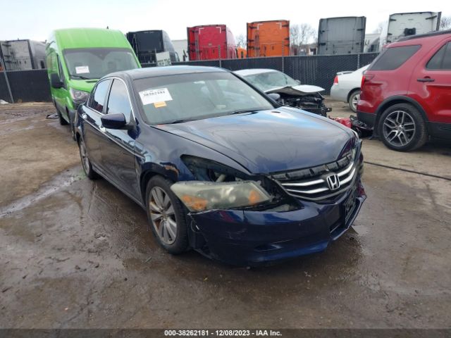 HONDA ACCORD 2011 1hgcp3f84ba010388