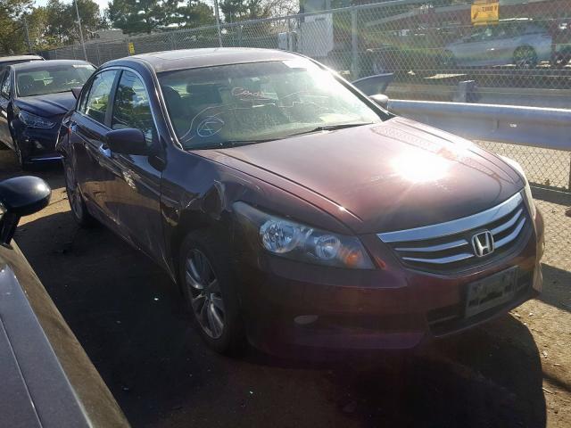 HONDA ACCORD EXL 2011 1hgcp3f84ba010794