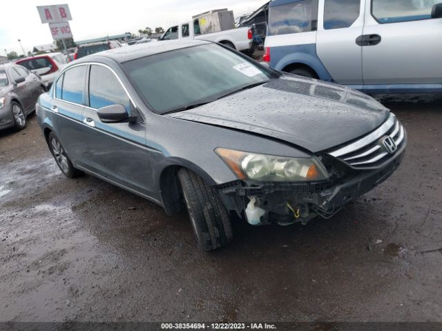 HONDA ACCORD 2011 1hgcp3f84ba010911