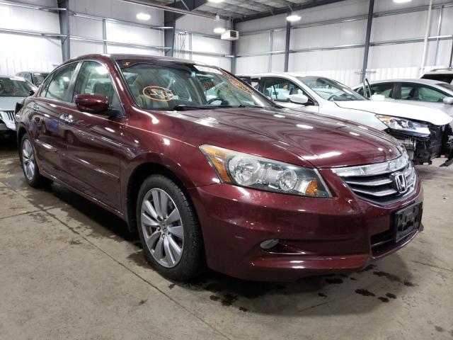 HONDA ACCORD EXL 2011 1hgcp3f84ba011606