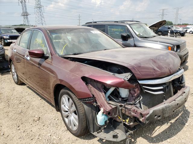 HONDA ACCORD EXL 2011 1hgcp3f84ba011637