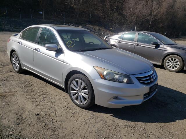 HONDA ACCORD EXL 2011 1hgcp3f84ba012528