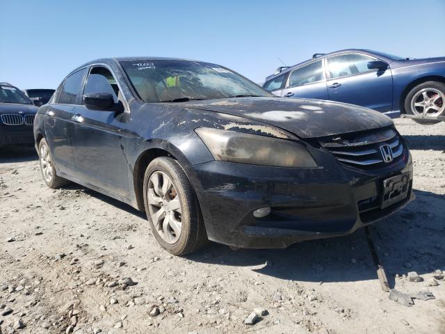 HONDA ACCORD EXL 2011 1hgcp3f84ba013274