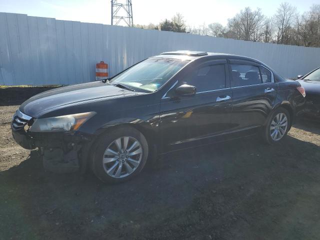 HONDA ACCORD 2011 1hgcp3f84ba013310