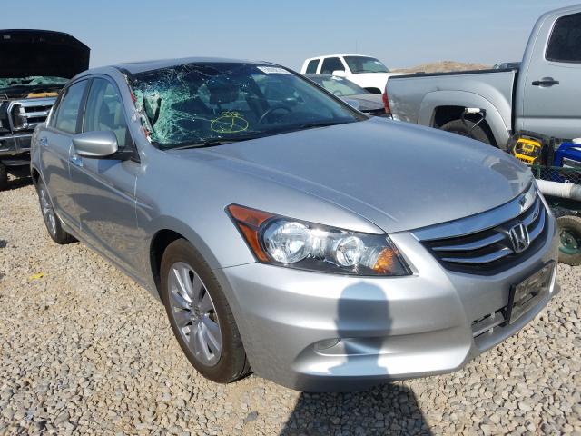 HONDA ACCORD EXL 2011 1hgcp3f84ba013484