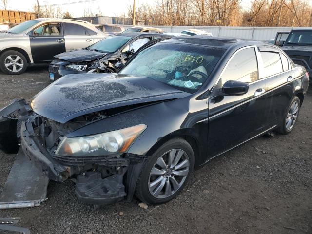 HONDA ACCORD 2011 1hgcp3f84ba014599