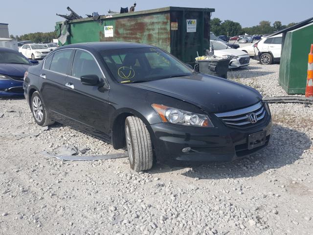 HONDA ACCORD EXL 2011 1hgcp3f84ba015431