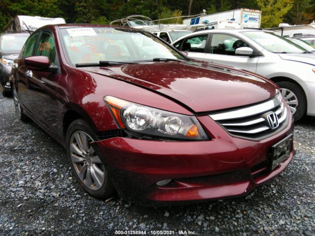 HONDA ACCORD SDN 2011 1hgcp3f84ba015591