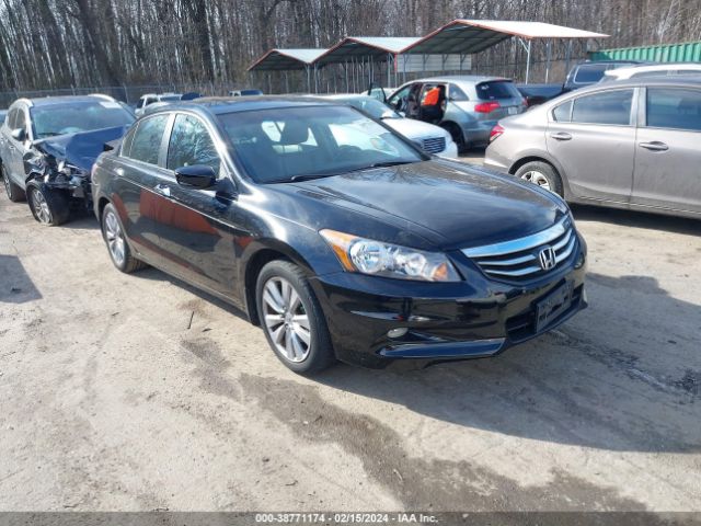 HONDA ACCORD 2011 1hgcp3f84ba015896