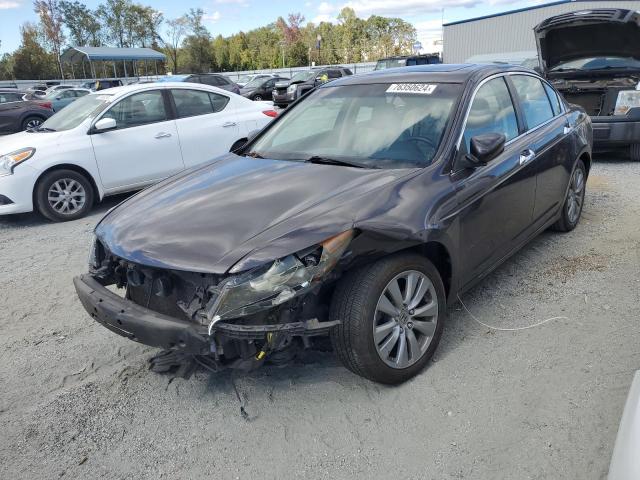 HONDA ACCORD EXL 2011 1hgcp3f84ba016420