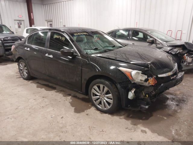 HONDA ACCORD 2011 1hgcp3f84ba016501