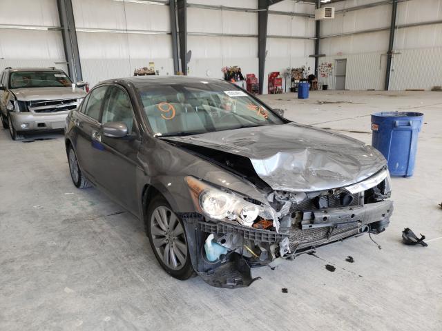 HONDA ACCORD EXL 2011 1hgcp3f84ba018071